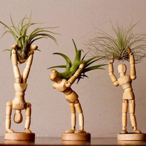 Poseable Character Air Planter Holder Guy-birthday-gift-for-men-and-women-gift-feed.com