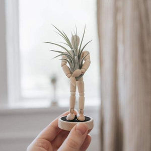Poseable Character Air Planter Holder Guy-birthday-gift-for-men-and-women-gift-feed.com