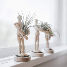 Load image into Gallery viewer, Poseable Character Air Planter Holder Guy-birthday-gift-for-men-and-women-gift-feed.com
