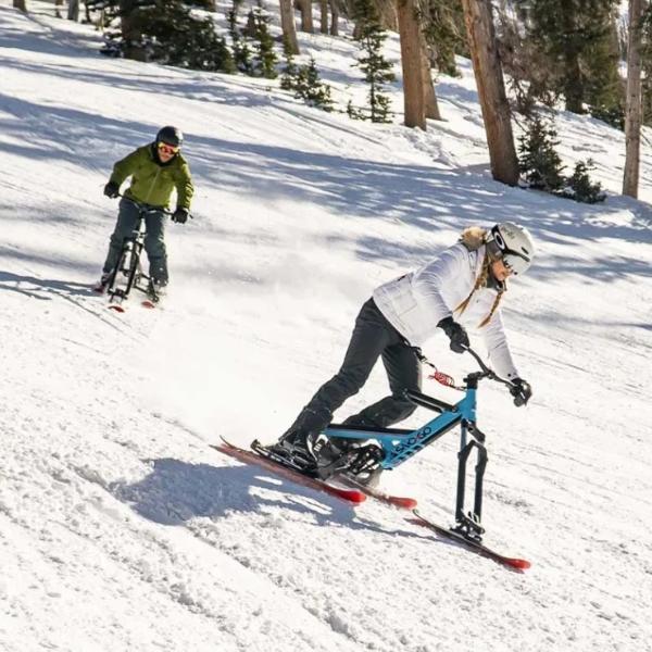 SNO-GO Snow Bike-birthday-gift-for-men-and-women-gift-feed.com