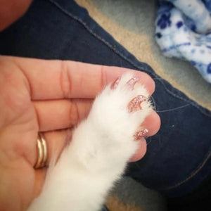 Soft Claws Cat Nail Caps-birthday-gift-for-men-and-women-gift-feed.com