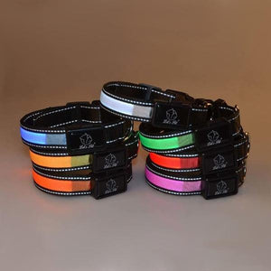 Solar Charged LED Dog Collar-birthday-gift-for-men-and-women-gift-feed.com