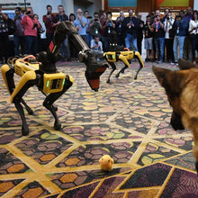 Load image into Gallery viewer, SPOT Boston Dynamics Robot Dog-birthday-gift-for-men-and-women-gift-feed.com
