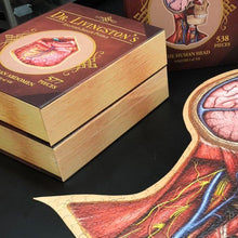 Load image into Gallery viewer, THE HUMAN HEAD Human Anatomy Puzzles-birthday-gift-for-men-and-women-gift-feed.com
