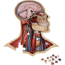 Load image into Gallery viewer, THE HUMAN HEAD Human Anatomy Puzzles-birthday-gift-for-men-and-women-gift-feed.com
