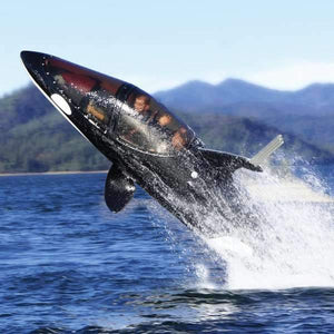 The Killer Whale Submarine-birthday-gift-for-men-and-women-gift-feed.com