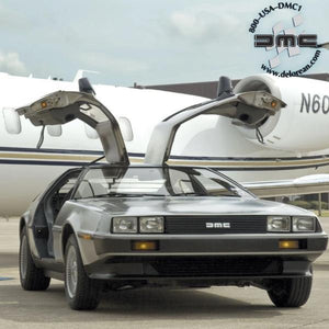 The New DeLorean-birthday-gift-for-men-and-women-gift-feed.com