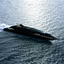 Load image into Gallery viewer, TIMUR BOZCA Black Swan Superyacht-birthday-gift-for-men-and-women-gift-feed.com
