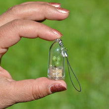 Load image into Gallery viewer, Tiny Live Plant Necklace or Key Chain-birthday-gift-for-men-and-women-gift-feed.com
