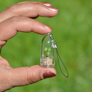 Tiny Live Plant Necklace or Key Chain-birthday-gift-for-men-and-women-gift-feed.com