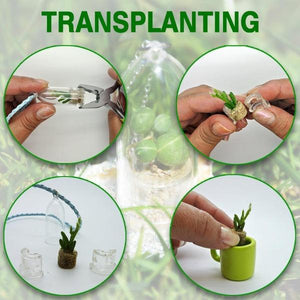 Tiny Live Plant Necklace or Key Chain-birthday-gift-for-men-and-women-gift-feed.com