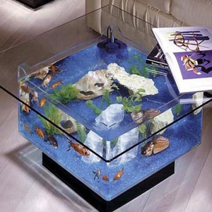 Transparent Coffee Table with Fish Tank Aquarium-birthday-gift-for-men-and-women-gift-feed.com