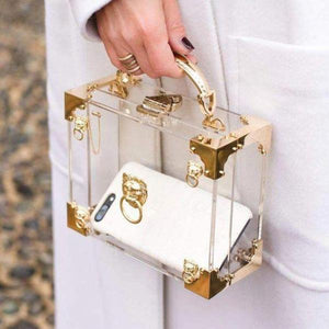 Transparent Mini Trunk Clutch With Gold Hardware-birthday-gift-for-men-and-women-gift-feed.com