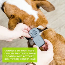 Load image into Gallery viewer, WHISTLE 3 Pet Tracker GPS-birthday-gift-for-men-and-women-gift-feed.com
