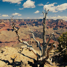 Load image into Gallery viewer, Why To Visit The Grand Canyon-birthday-gift-for-men-and-women-gift-feed.com
