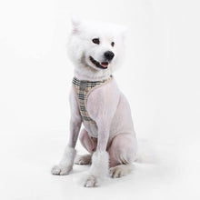 Load image into Gallery viewer, WONDERPUP Plaid Dog or Cat Harness-birthday-gift-for-men-and-women-gift-feed.com
